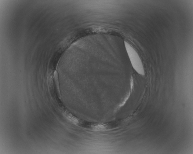 X0000080750513200701122006