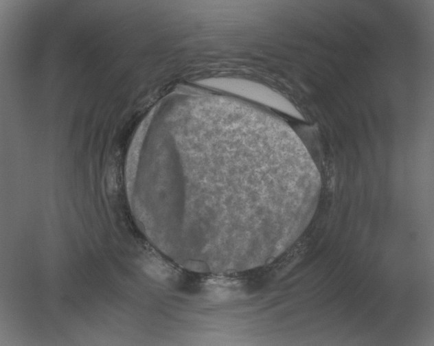 X0000080750515200701122006