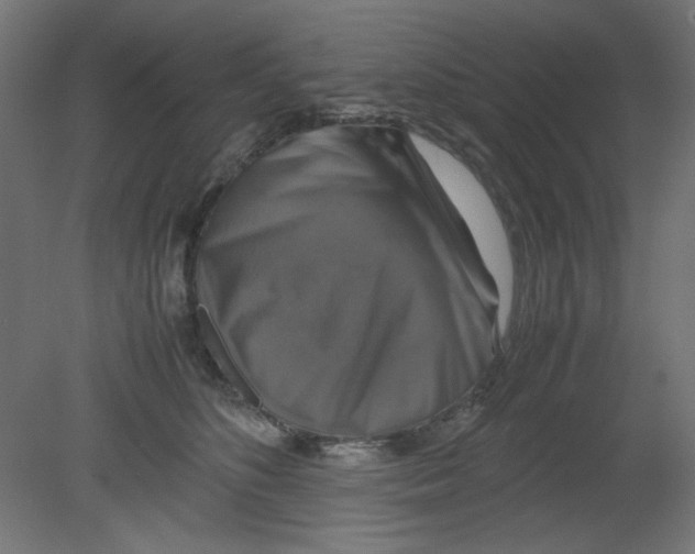 X0000080750516200701122006