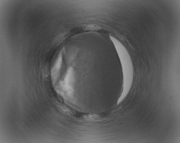 X0000080750517200701122006