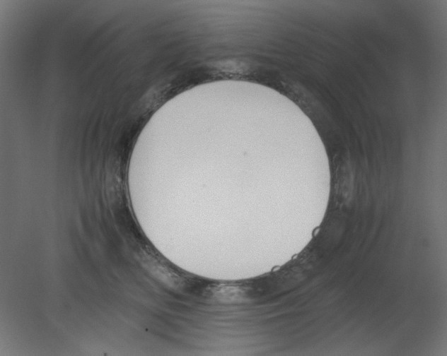 X0000080750518200701122006