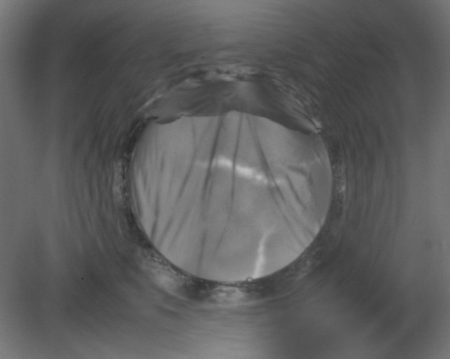 X0000080750519200701122006