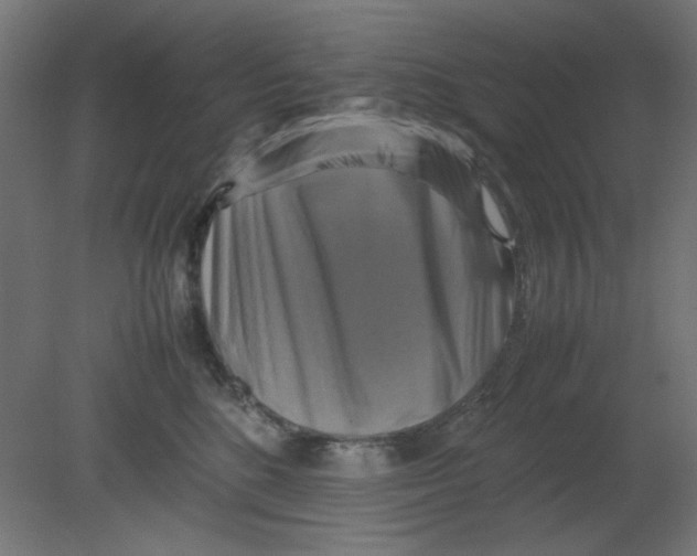 X0000080750520200701122006