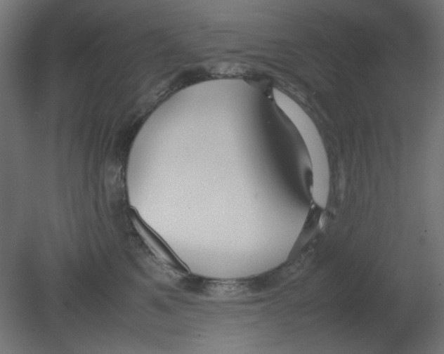 X0000080750521200701122006