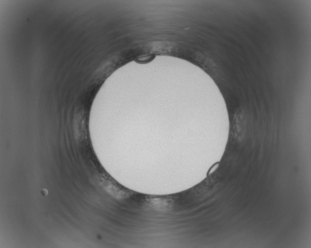 X0000080750522200701122006