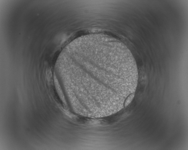 X0000080750523200701122006