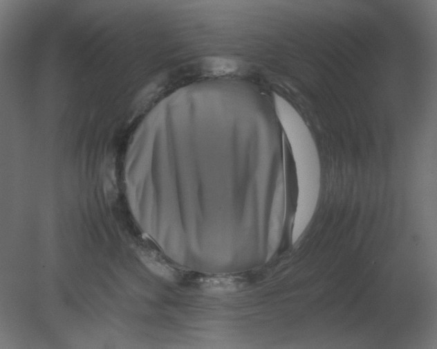 X0000080750524200701122006