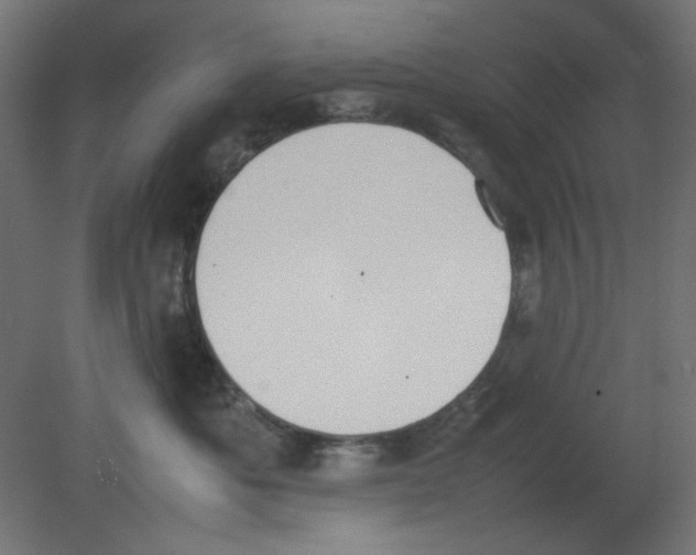 X0000080750525200701122006