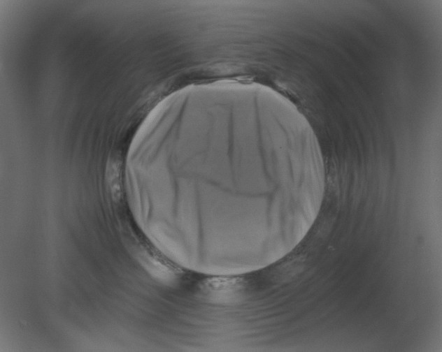 X0000080750526200701122006