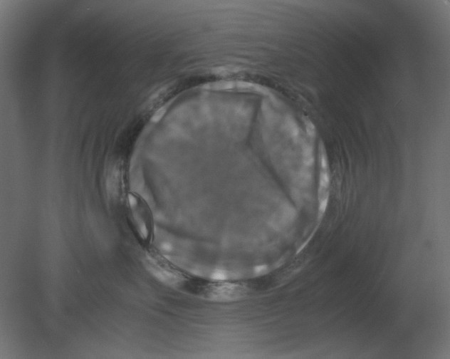 X0000080750527200701122006