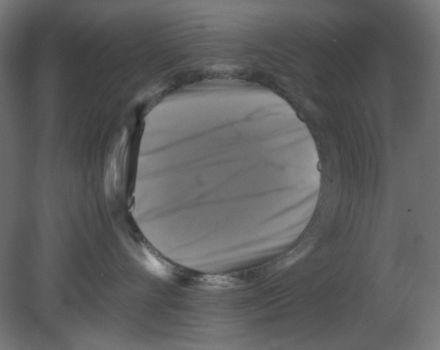 X0000080750528200701122006