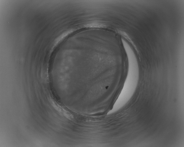 X0000080750531200701122005