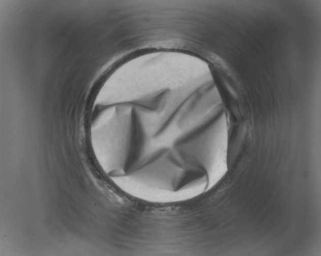X0000080750532200701122005