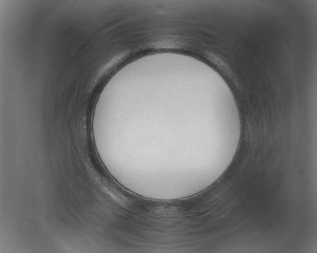X0000080750535200701122005