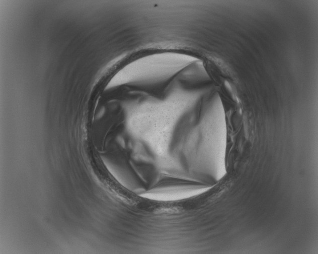 X0000080750536200701122005