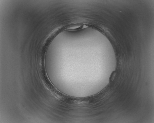 X0000080750539200701122005