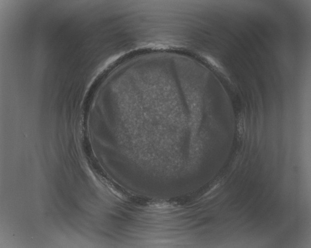 X0000080750540200701122006