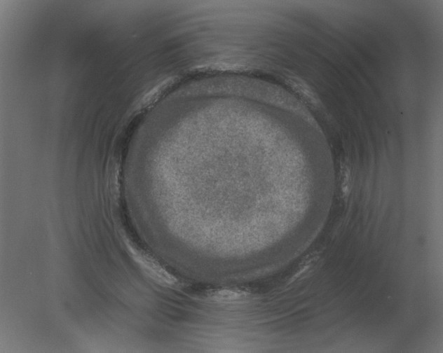 X0000080750542200701122006