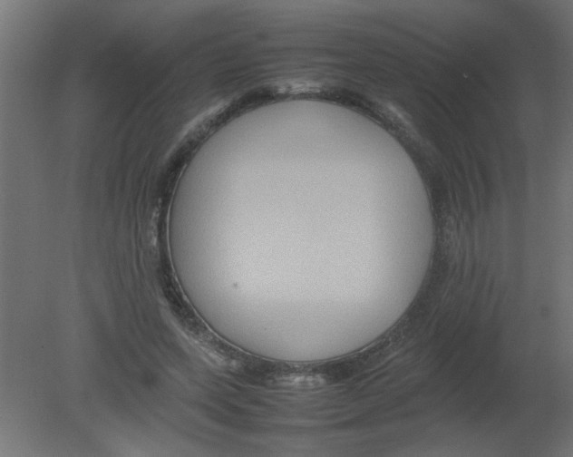 X0000080750543200701122006