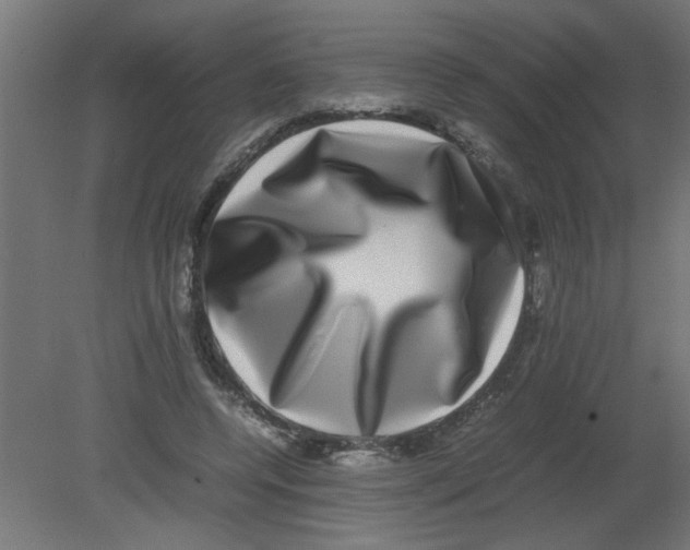 X0000080750544200701122006