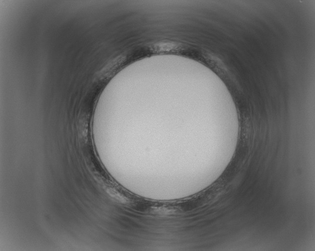 X0000080750545200701122006