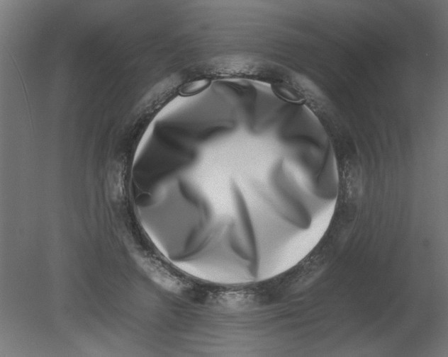 X0000080750546200701122006