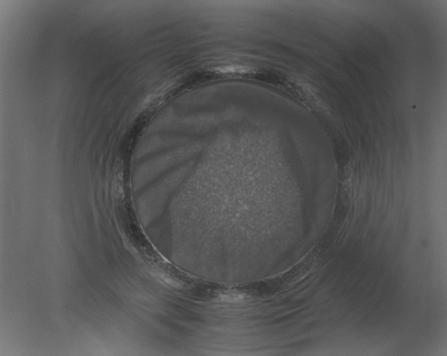 X0000080750547200701122006