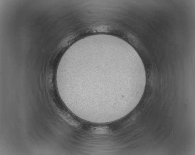 X0000080750548200701122006