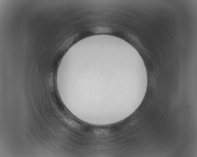 X0000080750549200701122006