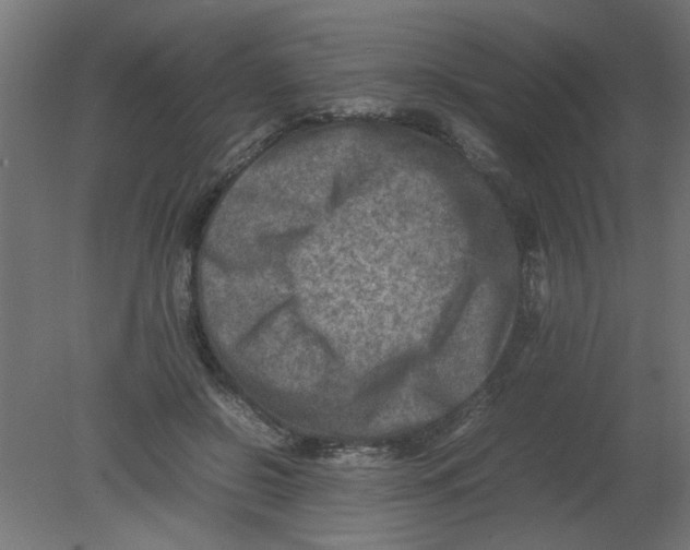 X0000080750550200701122006