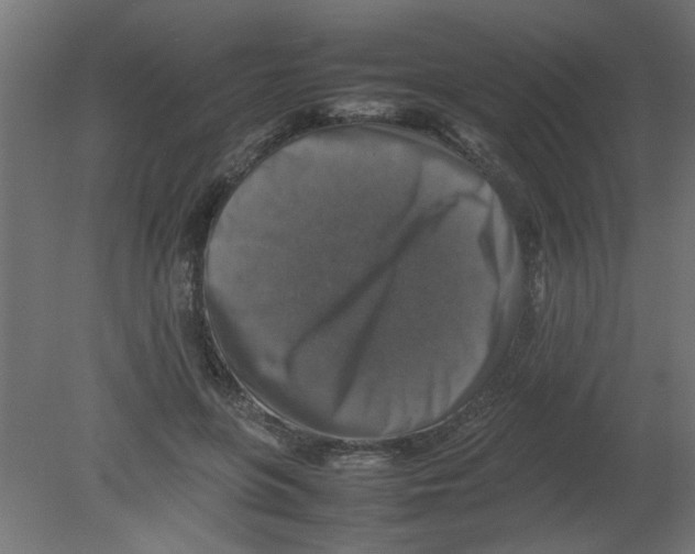 X0000080750551200701122006