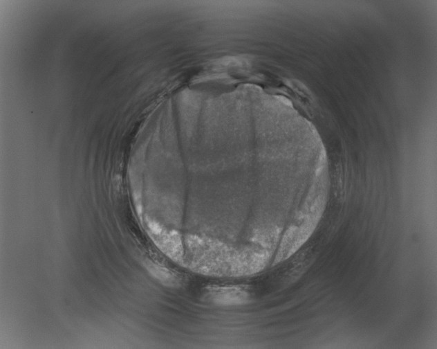 X0000080750553200701122006