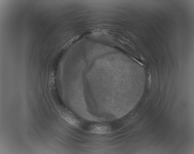 X0000080750555200701122006