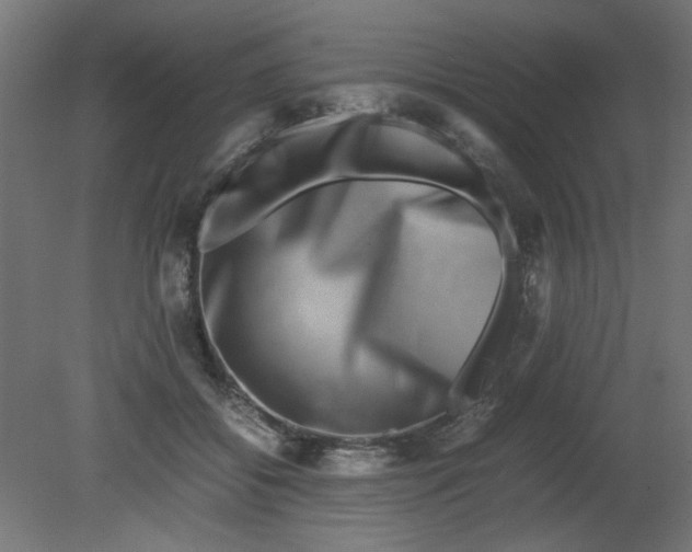 X0000080750556200701122006