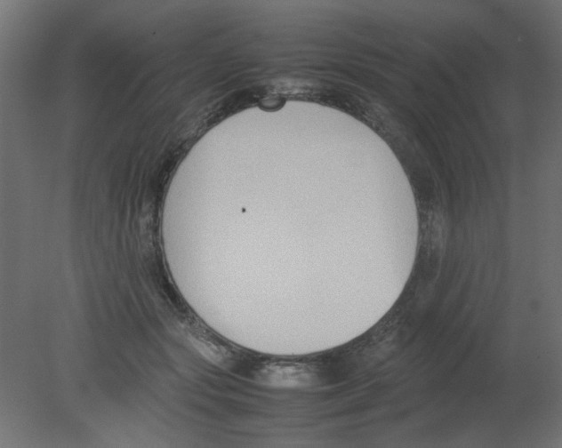 X0000080750557200701122006