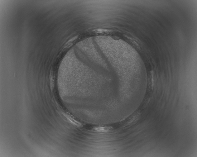 X0000080750558200701122006