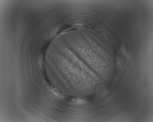 X0000080750559200701122006