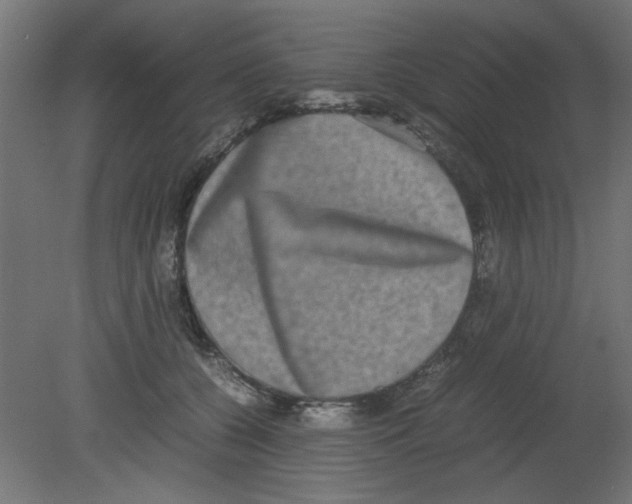 X0000080750560200701122006