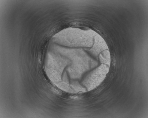 X0000080750561200701122006