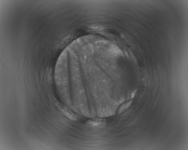 X0000080750563200701122006