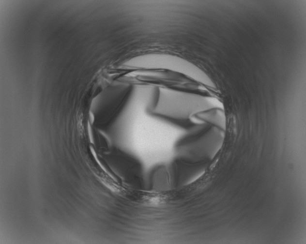 X0000080750564200701122006