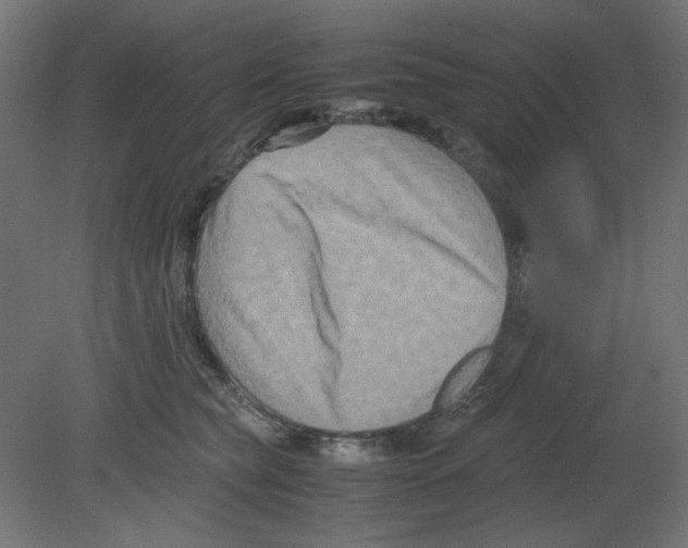 X0000080750565200701122006