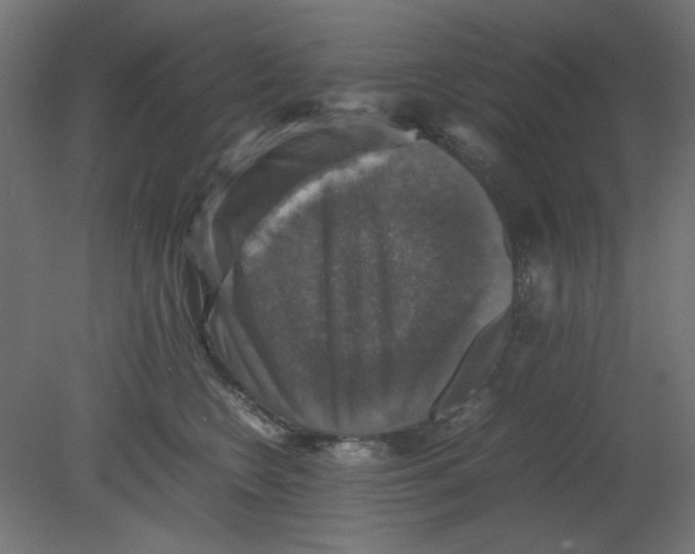 X0000080750566200701122006