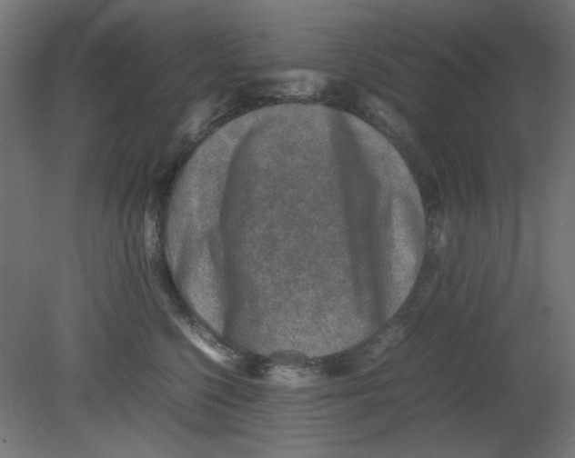 X0000080750568200701122006