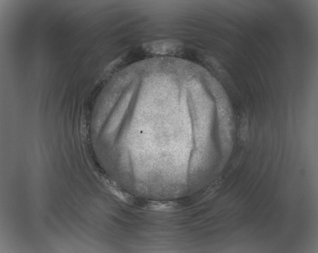 X0000080750569200701122006