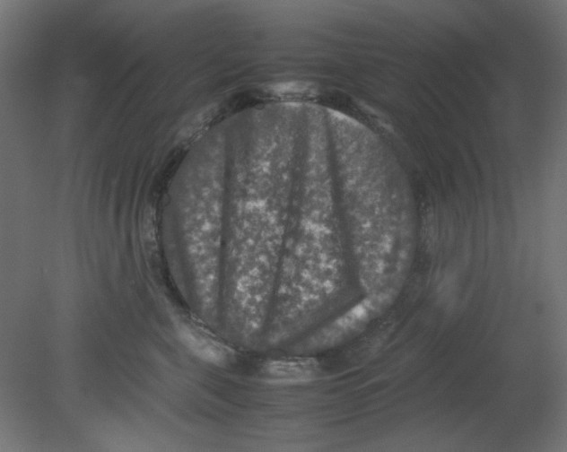 X0000080750571200701122006