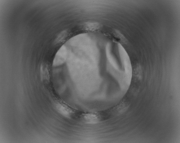 X0000080750572200701122006