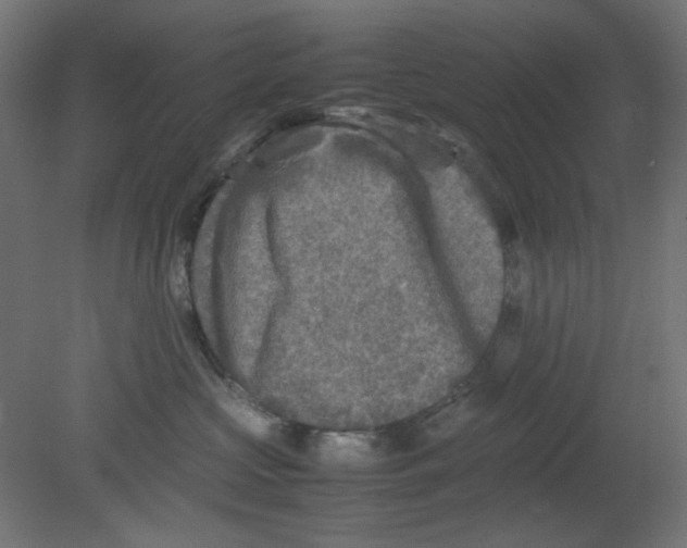 X0000080750573200701122006