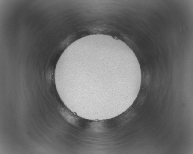 X0000080750574200701122006