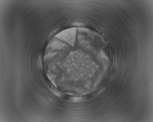 X0000080750575200701122006